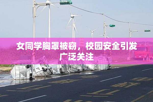 女同学胸罩被窃，校园安全引发广泛关注