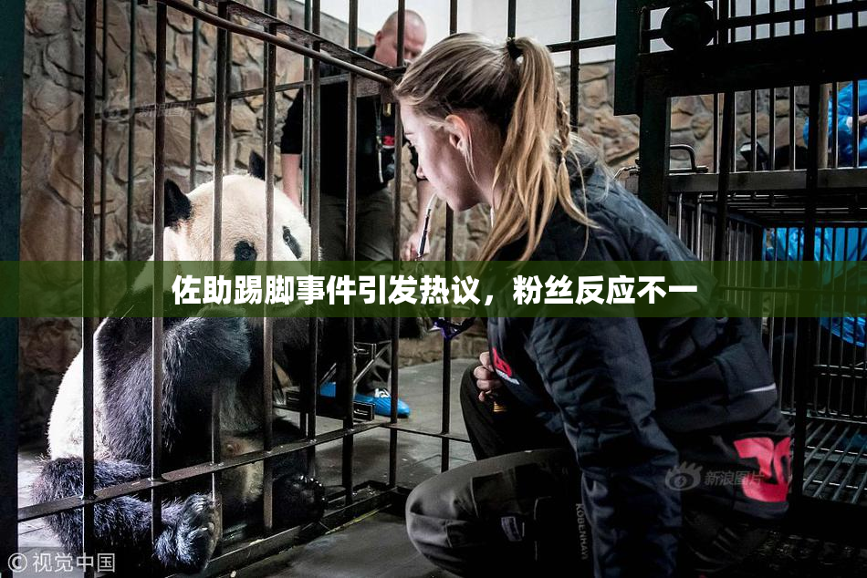 佐助踢脚事件引发热议，粉丝反应不一