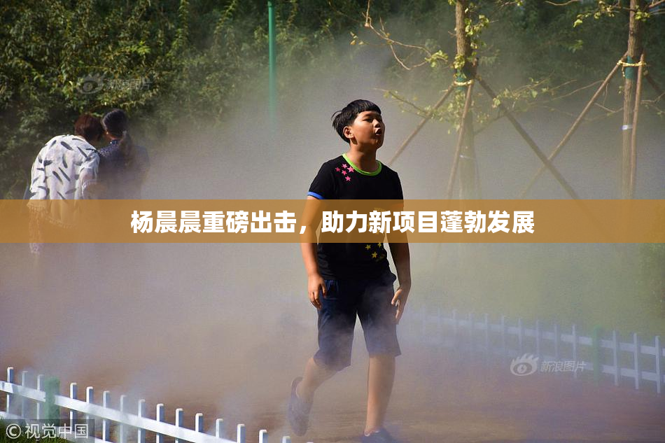 杨晨晨重磅出击，助力新项目蓬勃发展