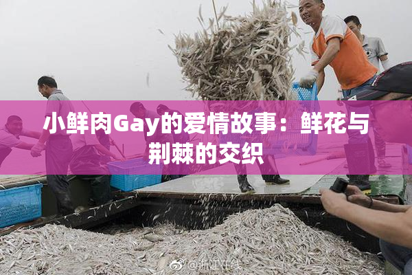 小鲜肉Gay的爱情故事：鲜花与荆棘的交织