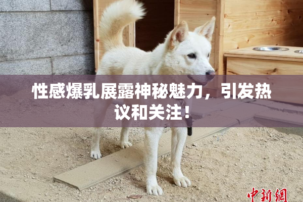 性感爆乳展露神秘魅力，引发热议和关注！