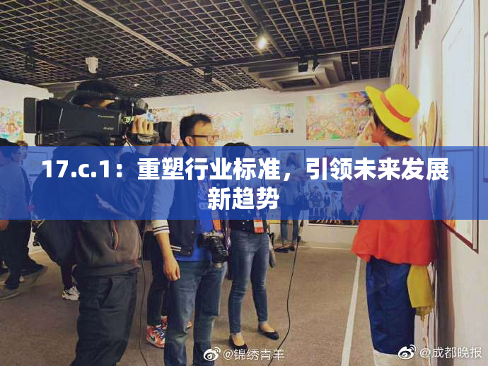 17.c.1：重塑行业标准，引领未来发展新趋势