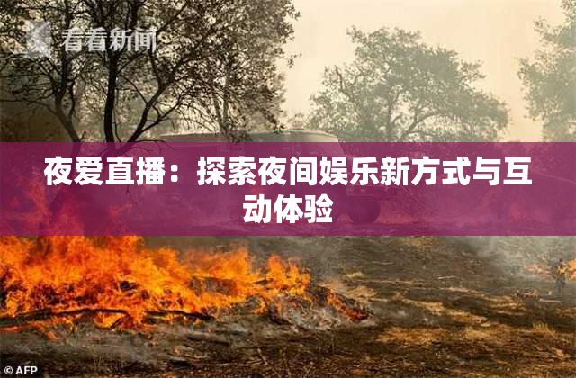 夜爱直播：探索夜间娱乐新方式与互动体验