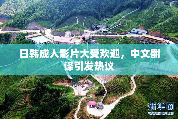 日韩成人影片大受欢迎，中文翻译引发热议