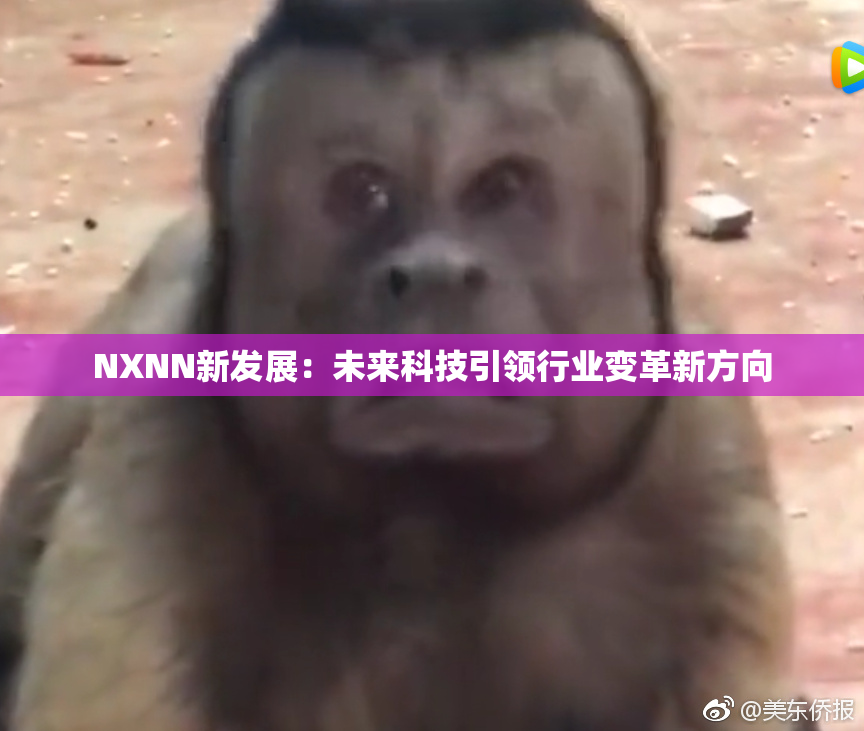 NXNN新发展：未来科技引领行业变革新方向