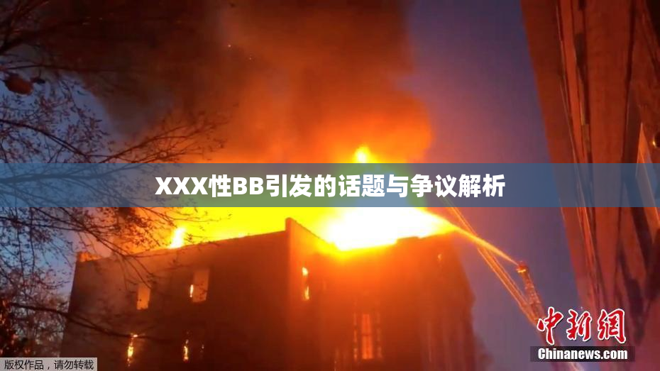 XXX性BB引发的话题与争议解析