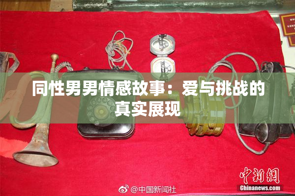 同性男男情感故事：爱与挑战的真实展现