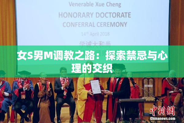 女S男M调教之路：探索禁忌与心理的交织