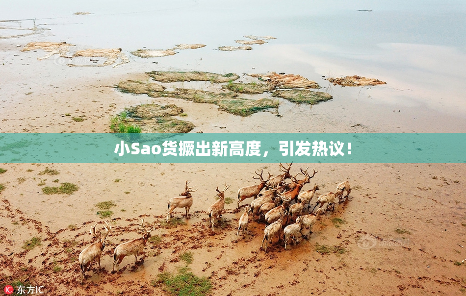 小Sao货撅出新高度，引发热议！