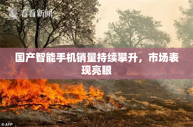 国产智能手机销量持续攀升，市场表现亮眼