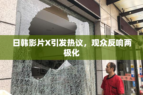 日韩影片X引发热议，观众反响两极化