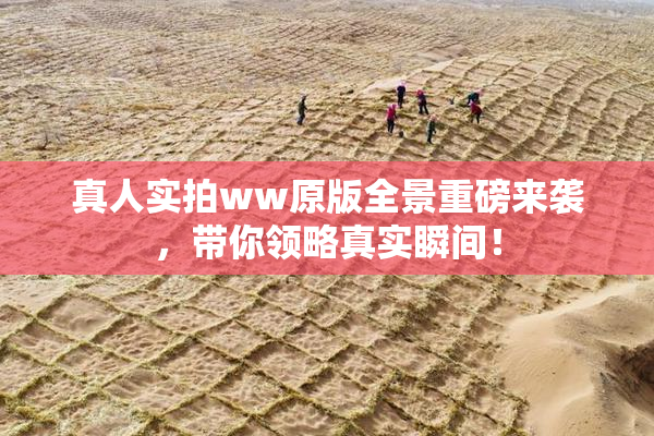 真人实拍ww原版全景重磅来袭，带你领略真实瞬间！