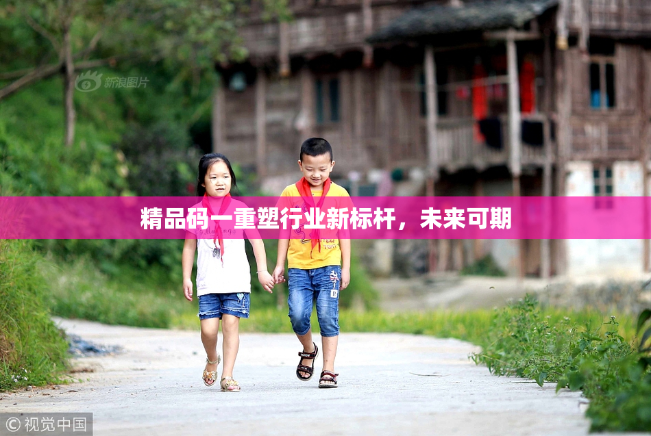 精品码一重塑行业新标杆，未来可期