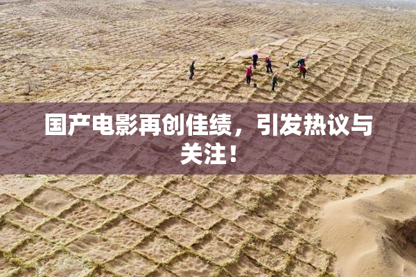 国产电影再创佳绩，引发热议与关注！