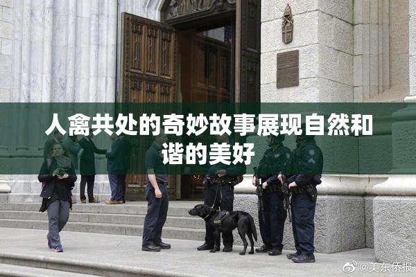 人禽共处的奇妙故事展现自然和谐的美好