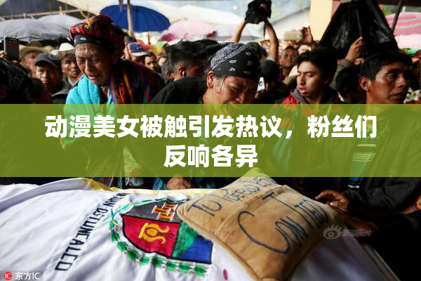 动漫美女被触引发热议，粉丝们反响各异