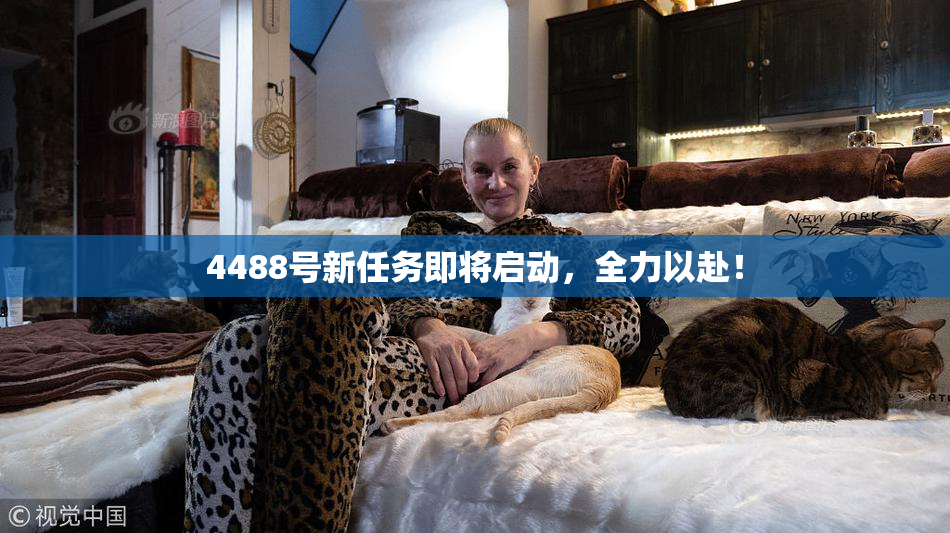 4488号新任务即将启动，全力以赴！