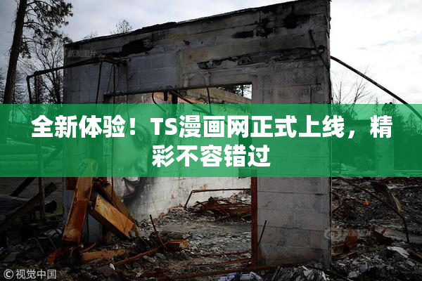 全新体验！TS漫画网正式上线，精彩不容错过