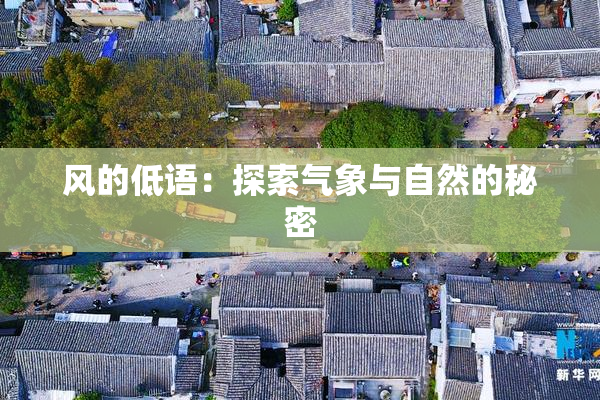 风的低语：探索气象与自然的秘密