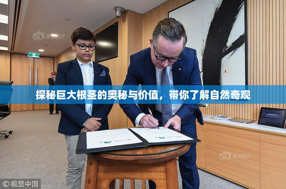 探秘巨大根茎的奥秘与价值，带你了解自然奇观