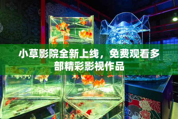 小草影院全新上线，免费观看多部精彩影视作品