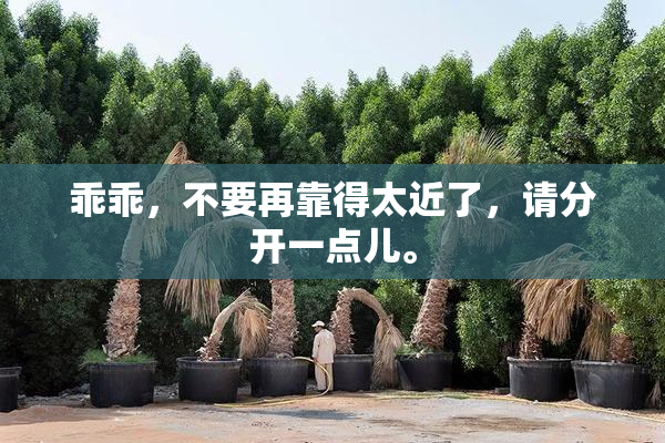 乖乖，不要再靠得太近了，请分开一点儿。