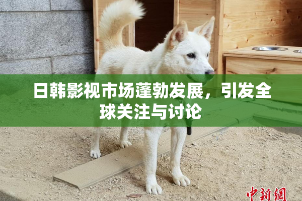 日韩影视市场蓬勃发展，引发全球关注与讨论