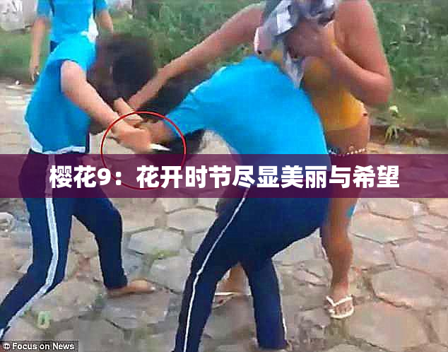 樱花9：花开时节尽显美丽与希望
