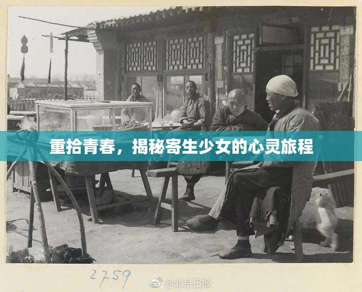 重拾青春，揭秘寄生少女的心灵旅程