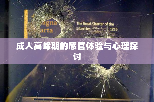 成人高峰期的感官体验与心理探讨