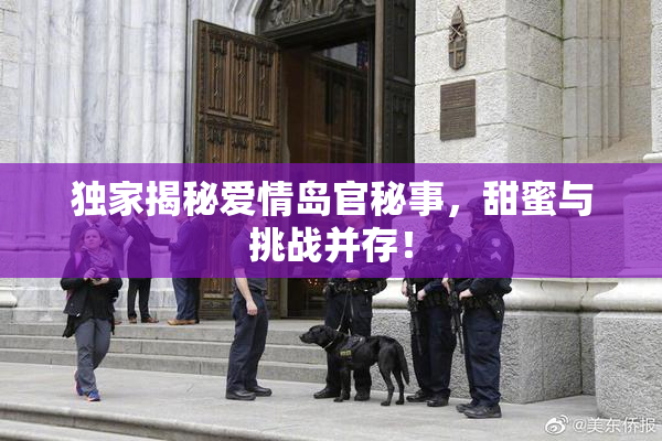 独家揭秘爱情岛官秘事，甜蜜与挑战并存！