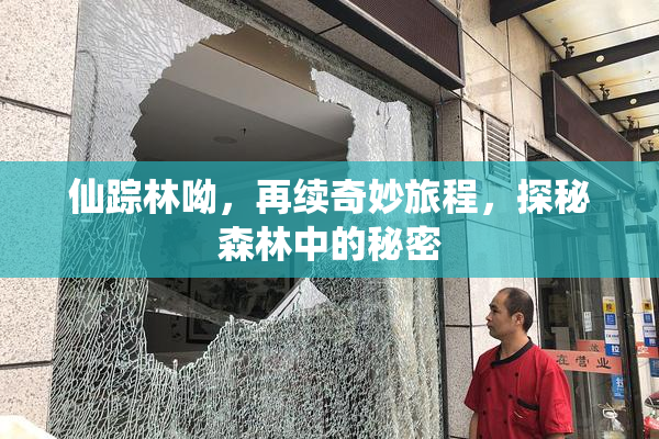 仙踪林呦，再续奇妙旅程，探秘森林中的秘密