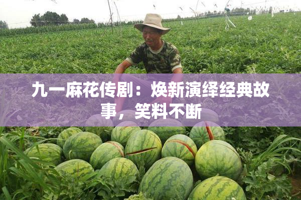 九一麻花传剧：焕新演绎经典故事，笑料不断