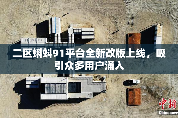 二区蝌蚪91平台全新改版上线，吸引众多用户涌入