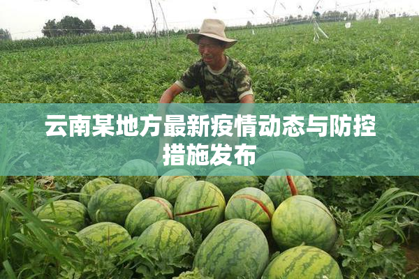 云南某地方最新疫情动态与防控措施发布