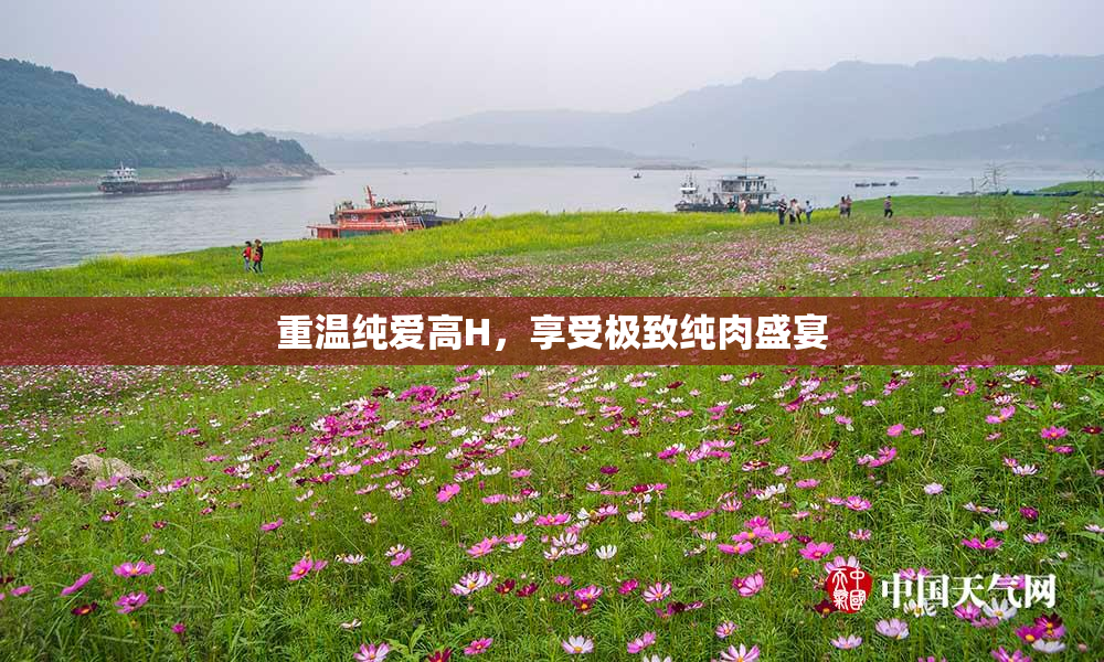 重温纯爱高H，享受极致纯肉盛宴