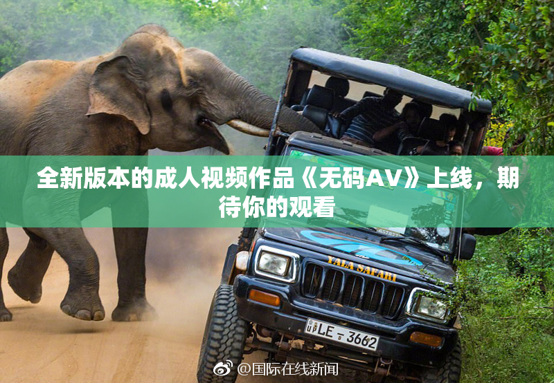 全新版本的成人视频作品《无码AV》上线，期待你的观看