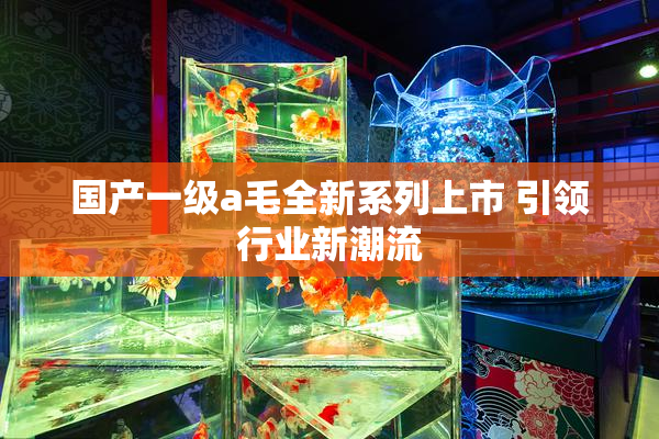 国产一级a毛全新系列上市 引领行业新潮流