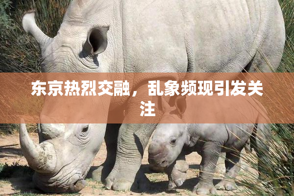 东京热烈交融，乱象频现引发关注