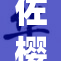佐樱本子18：探索隐藏在故事背后的精彩细节