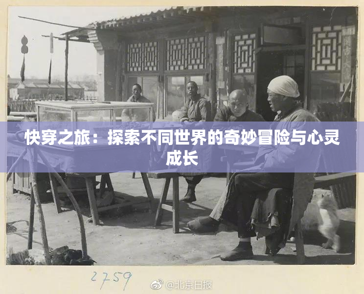 快穿之旅：探索不同世界的奇妙冒险与心灵成长