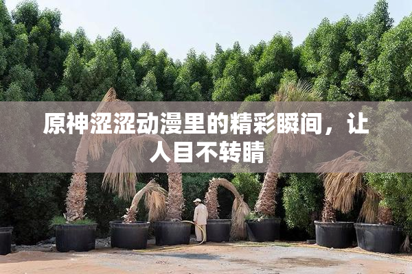 原神涩涩动漫里的精彩瞬间，让人目不转睛