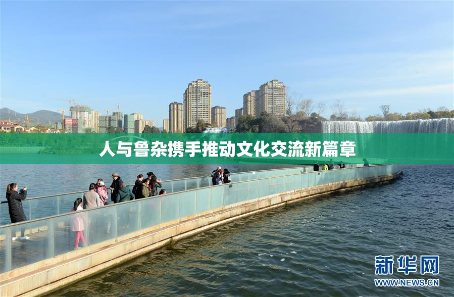 人与鲁杂携手推动文化交流新篇章