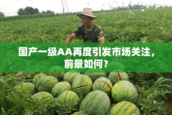 国产一级AA再度引发市场关注，前景如何？