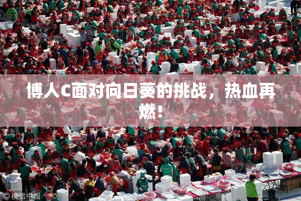 博人C面对向日葵的挑战，热血再燃！