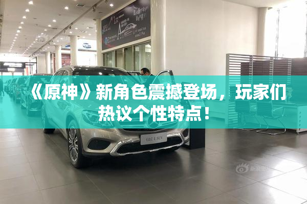 《原神》新角色震撼登场，玩家们热议个性特点！