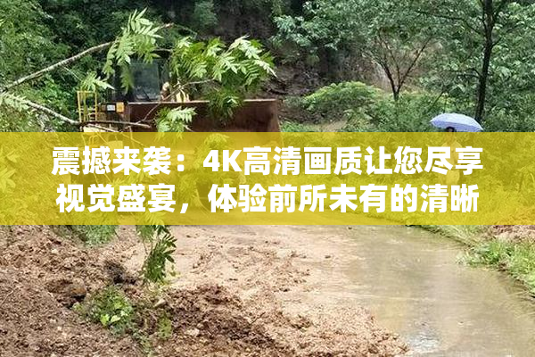 震撼来袭：4K高清画质让您尽享视觉盛宴，体验前所未有的清晰！
