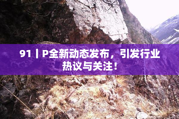 91丨P全新动态发布，引发行业热议与关注！
