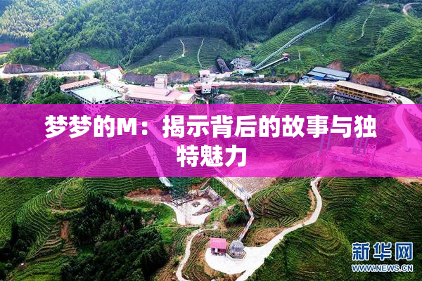 梦梦的M：揭示背后的故事与独特魅力