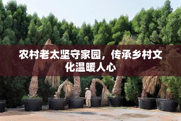 农村老太坚守家园，传承乡村文化温暖人心